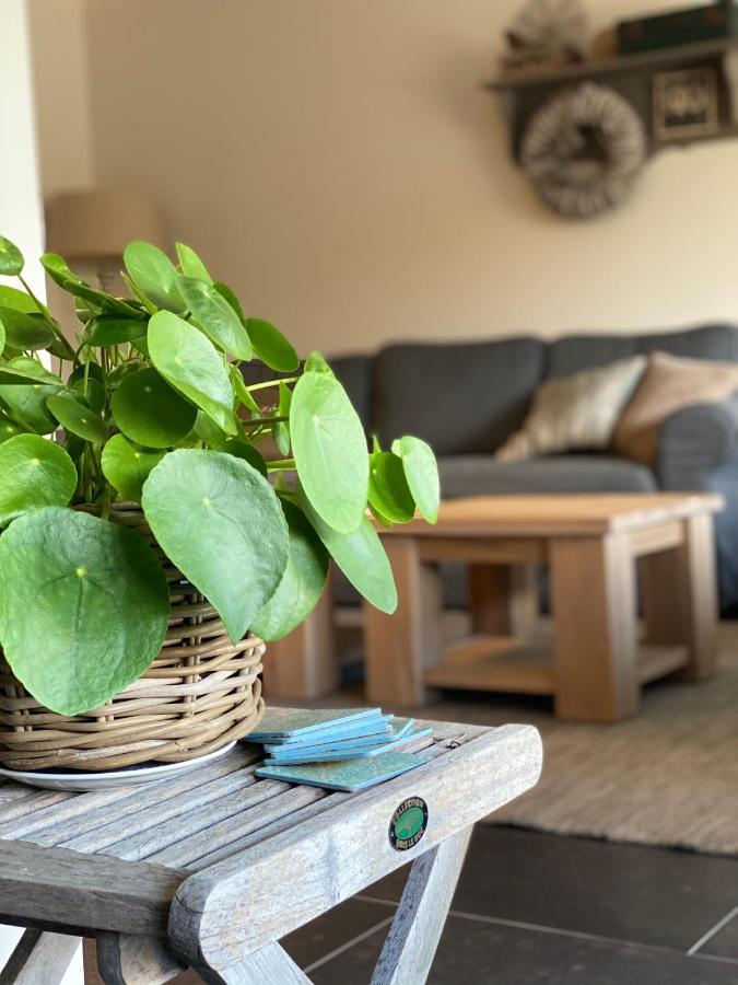 'T Vaerthuys Villa Dilsen-Stokkem Exteriör bild